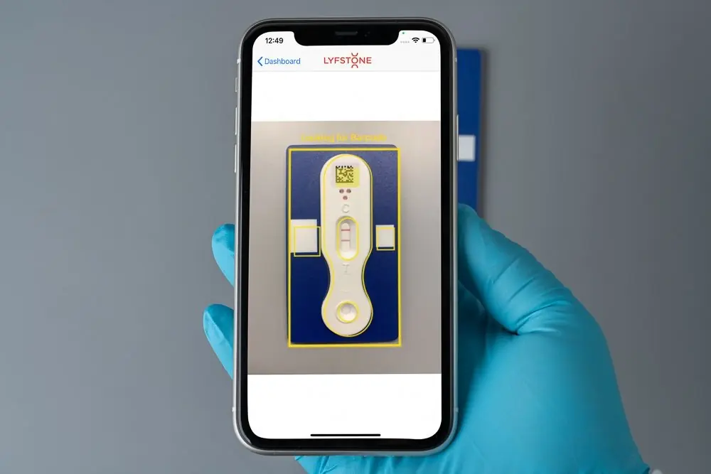 Lyfstone test indicators